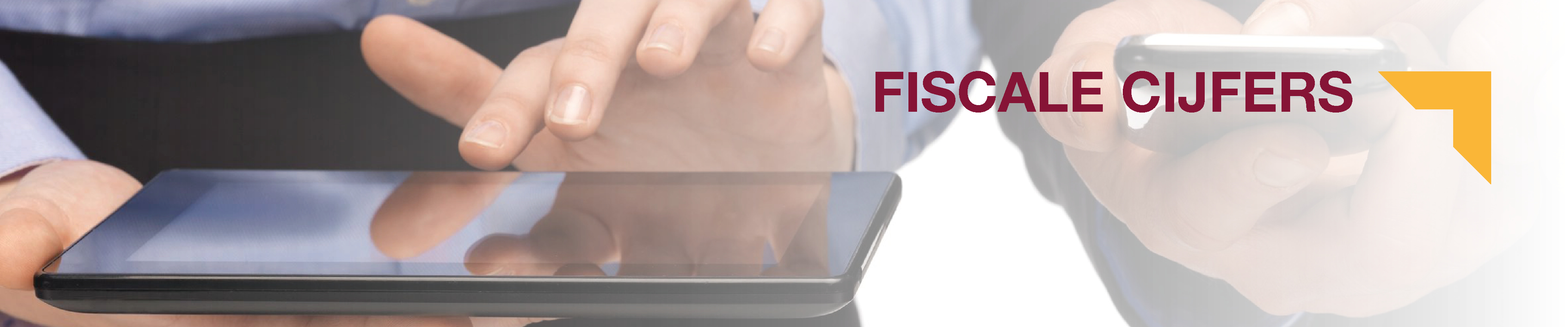 E-book "Fiscale cijfers 2016"